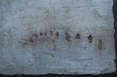 obra8.jpg