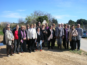 Grups i associacions Grups i associacions