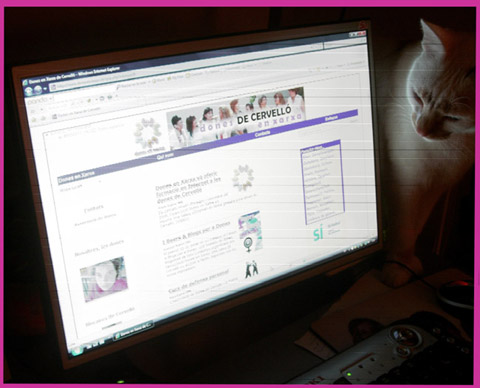 El gat de la Glòria, Rovelló, també consulta la pà gina web de Dones en Xarxa El gat de la Glòria, Rovelló, també consulta la pà gina web de Dones en Xarxa