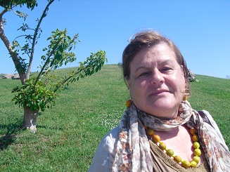 arbre1.jpg